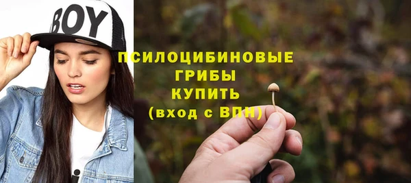 мескалин Алексин