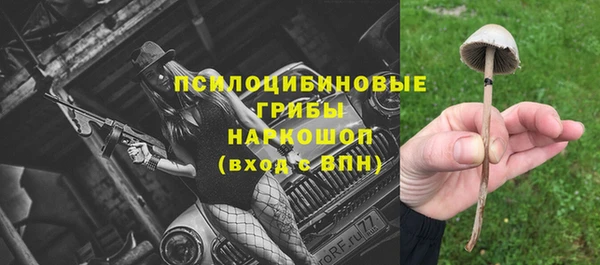 дживик Алексеевка
